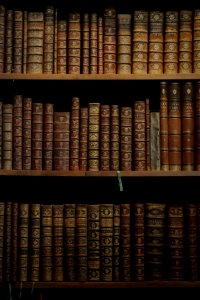 1651- John Dury Invents Modern Library