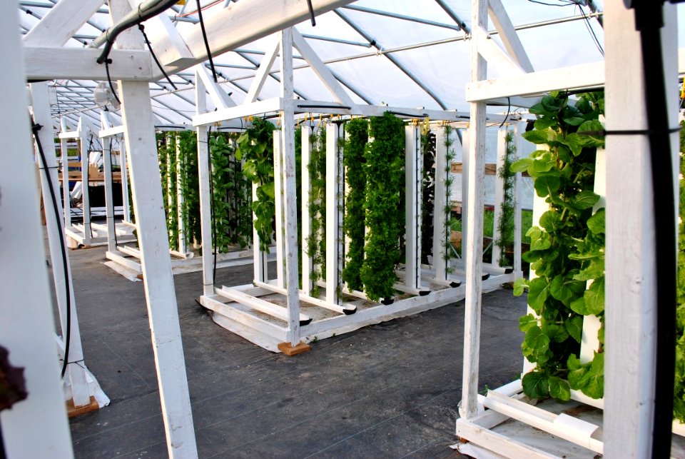 ZipGrow Towers in Greenhouse