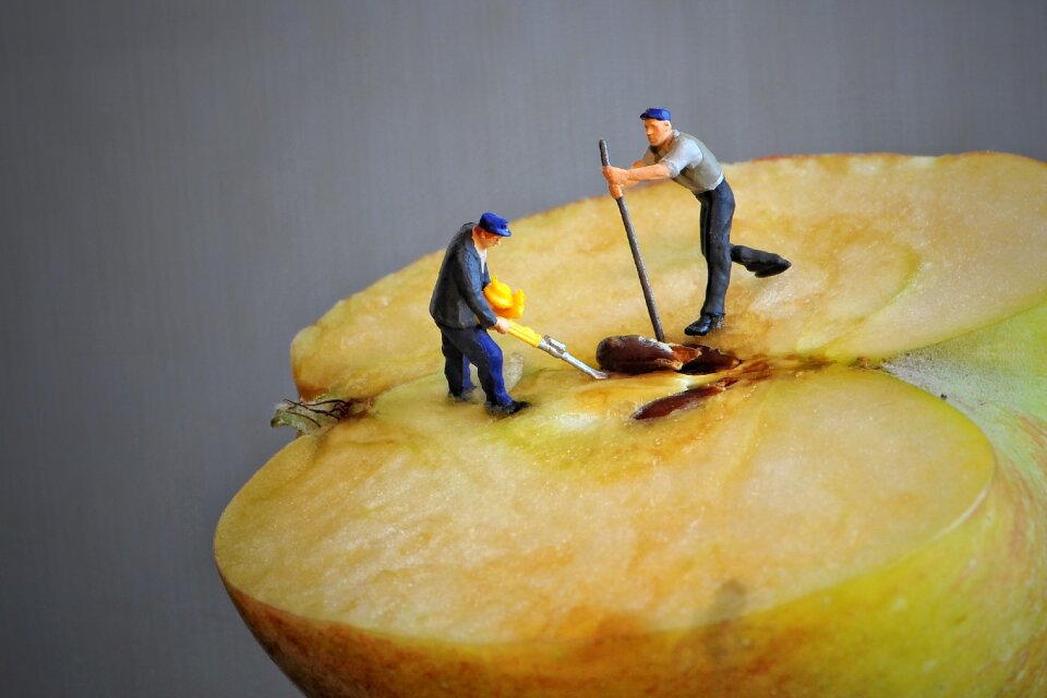 Apple half small world apple