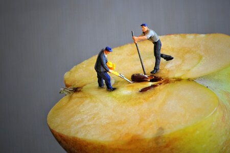 Apple half small world apple