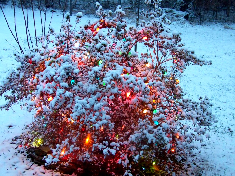 misc christmas lights in snow