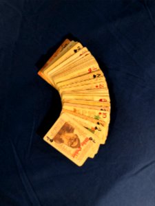 permaculture playing cards