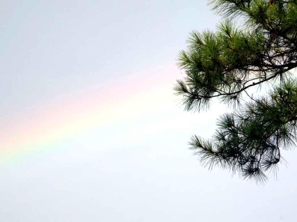 misc rainbow 2