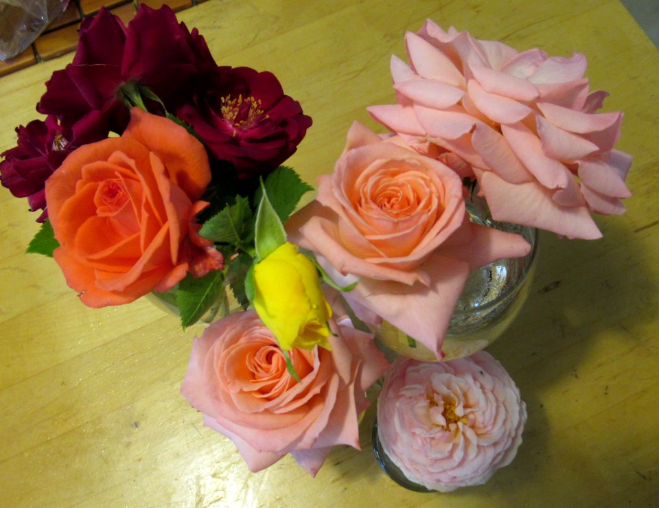 flora mixture of roses