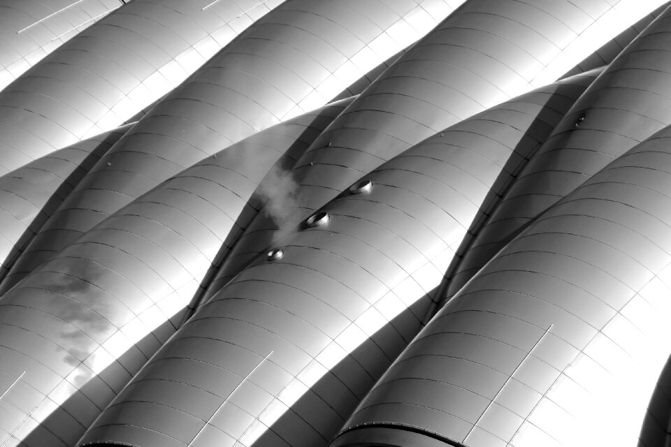 Black and white roof structure