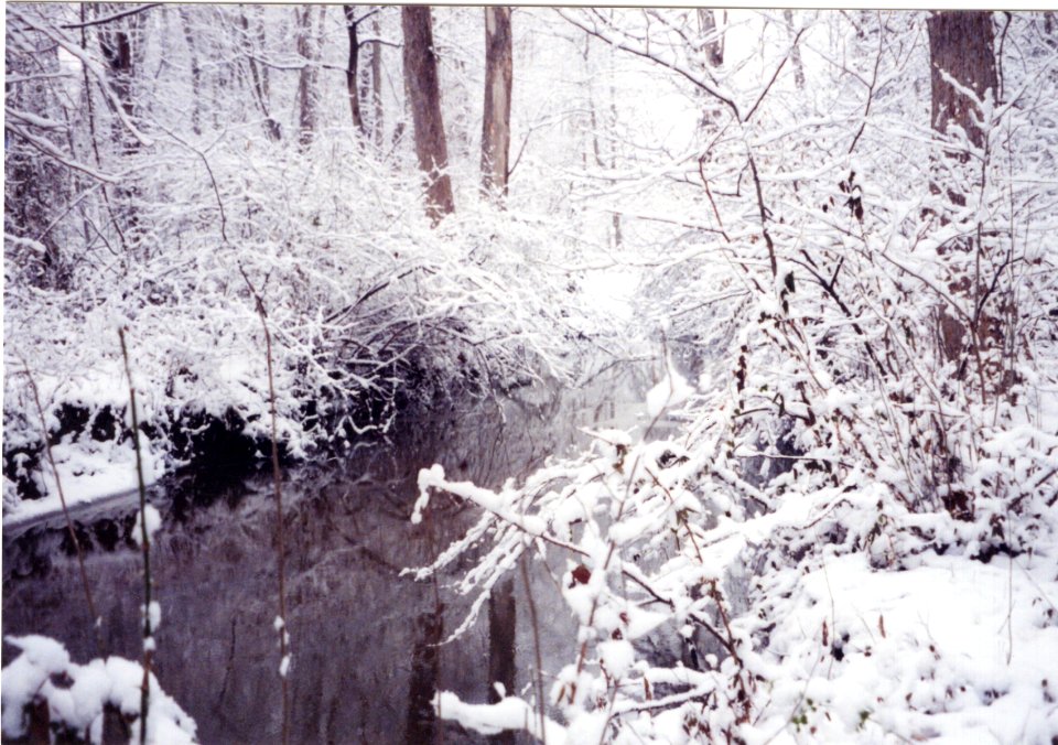 misc snow and creek