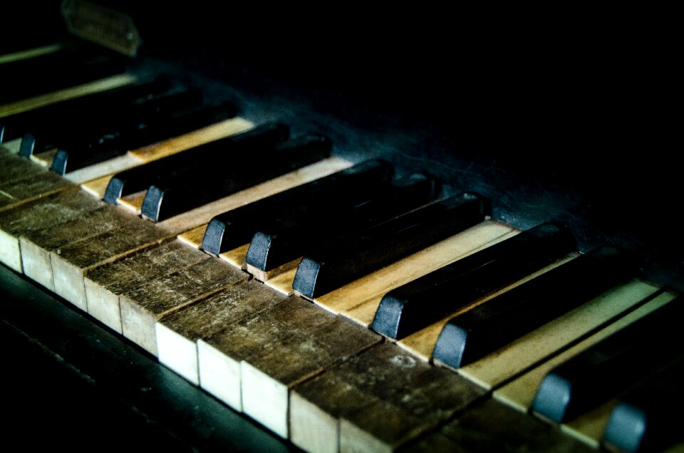 Ivory music instrument