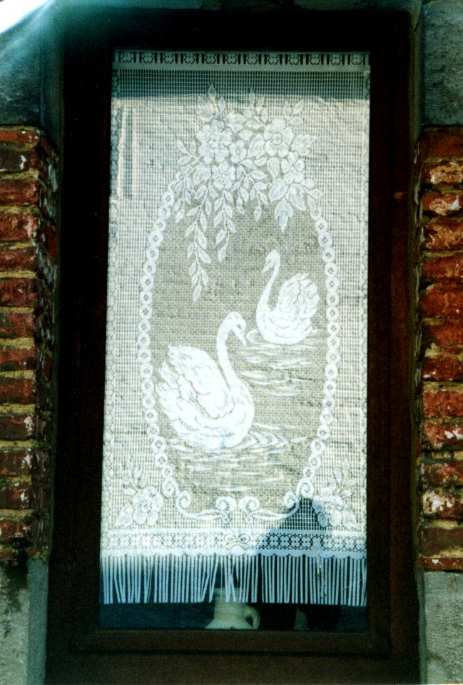 bel lace curtains 2
