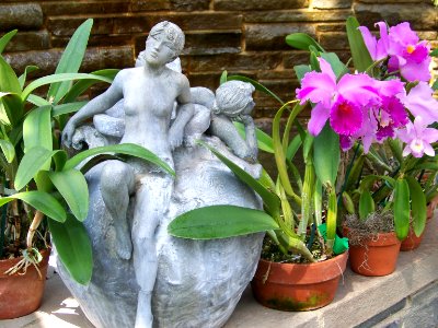 lg statue and orchids photo