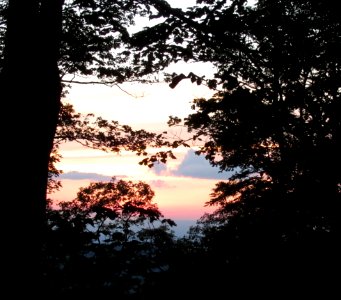 view Sunset silhouettes
