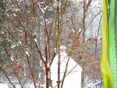 Colorful Decorations on Tree in Snow