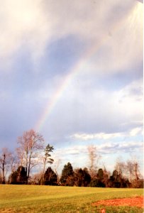 misc rainbow5