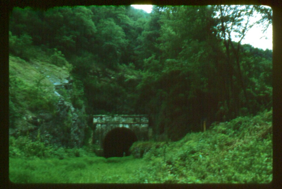 misc pawpaw tunnel 50s 3