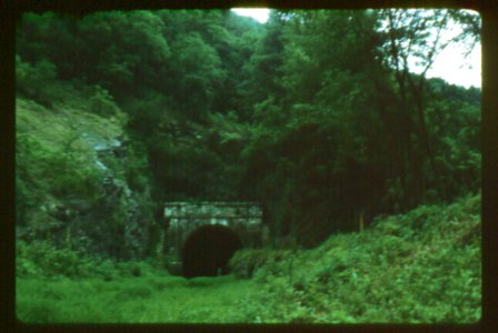 misc pawpaw tunnel 50s 3 photo