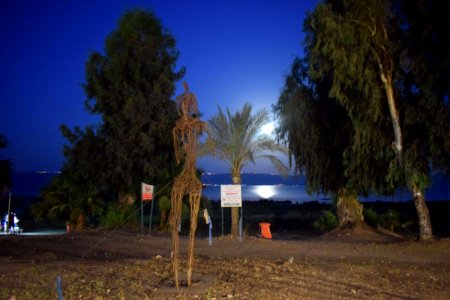 night in Vacation
