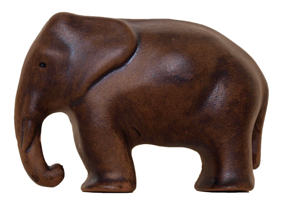 Pachyderm proboscis animal