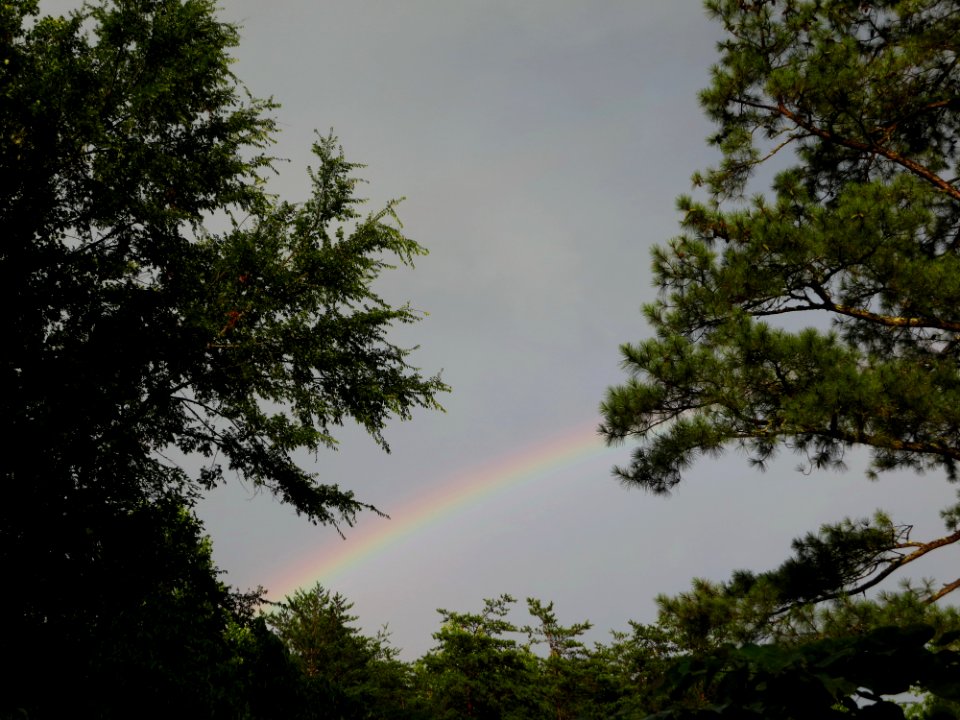 misc rainbow 1