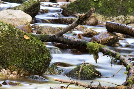 Local recreation flow rest