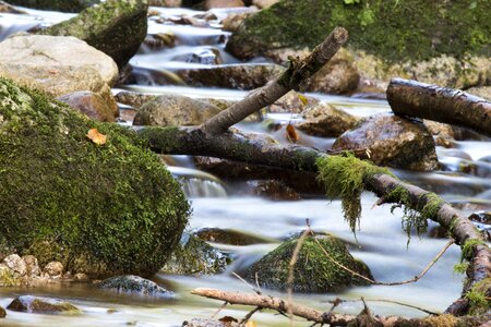 Local recreation flow rest photo