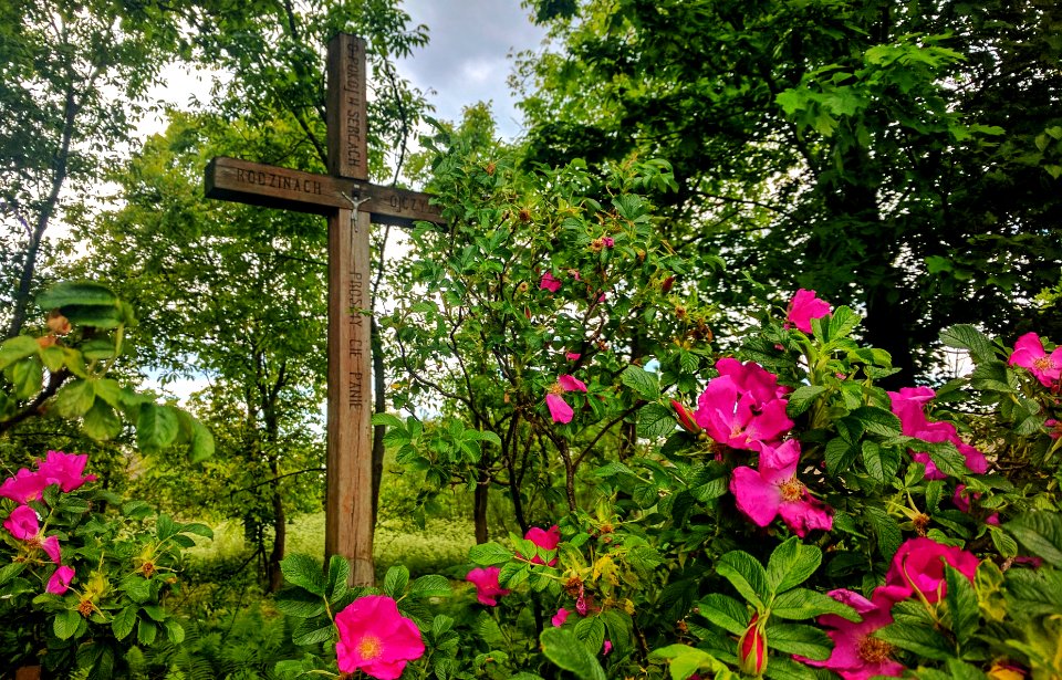 Przydrożny krzyż. Południowe Podlasie, Polska.  Cross by the road. South Podlasie, Poland.