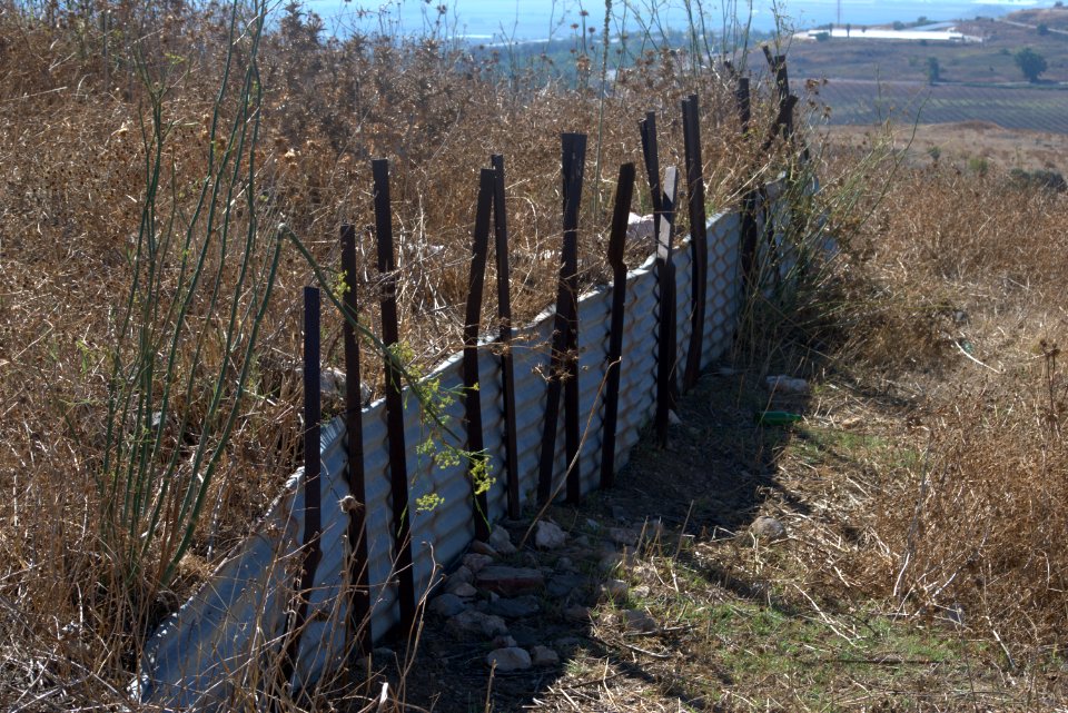 mine field