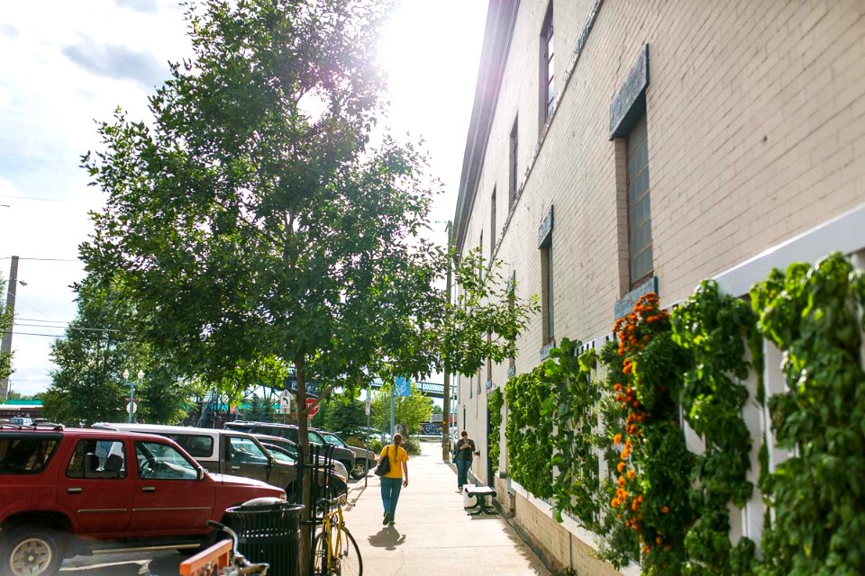 Farm Wall Down Town With Pedestrian