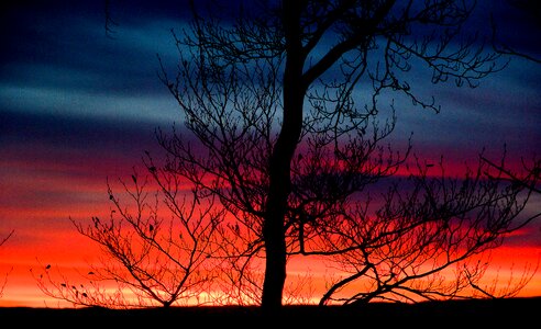 Sunset evening twilight