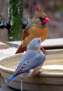 Having a drink together