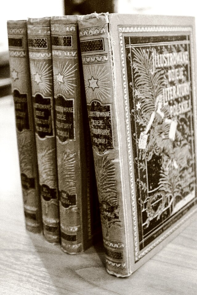 Education read reading