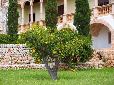 Raixa bunyola mallorca