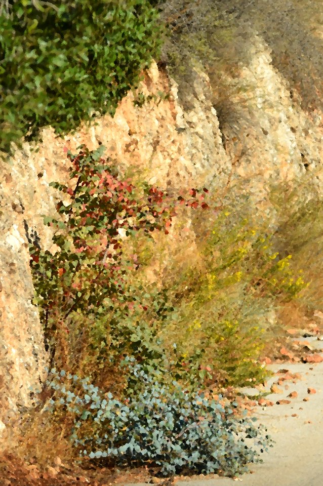 DSC 0124