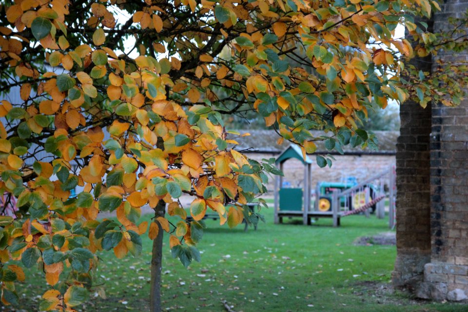 Autumn Farmland Museum & Denny Abbey