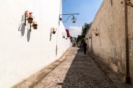 0014Perù 12 marzo 2019-25