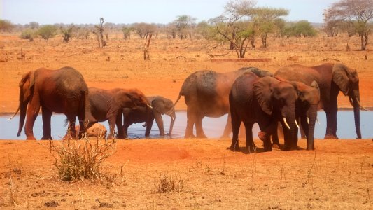 Kenya-3