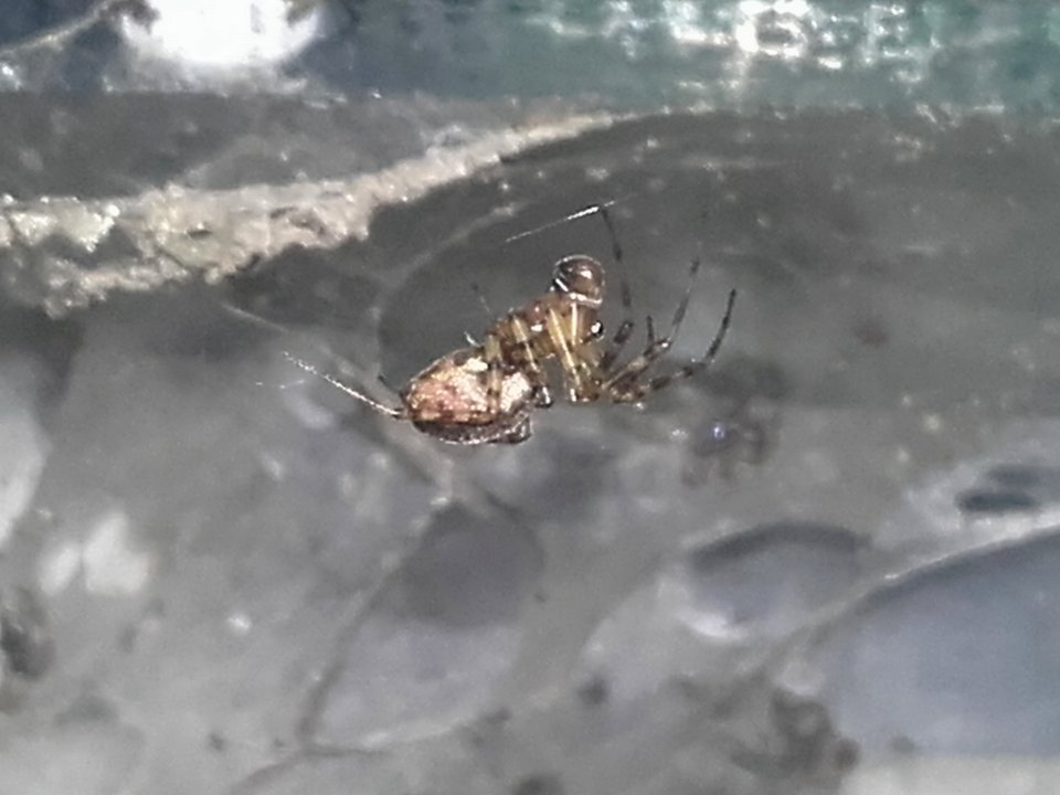 male - 20191123 033045