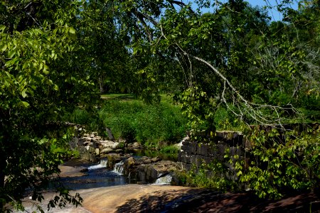 scene Little River Park ncwetlands KG (13)