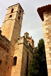 IMG 8767 1