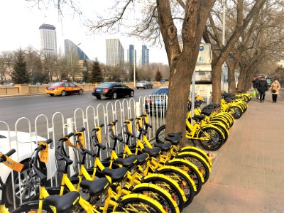 2017 Ofo Bike MP photo