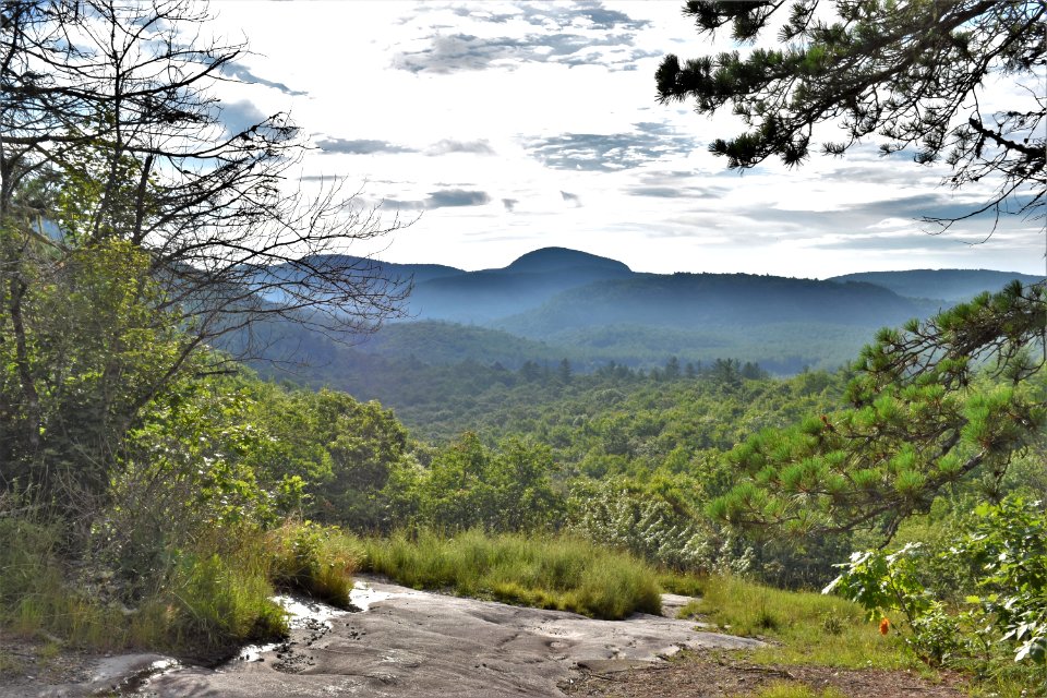 scene above Panthertown Valley Bog ncwetlands am