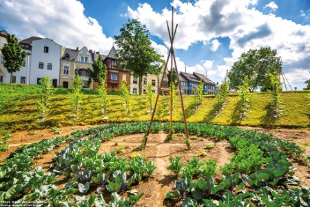 Edible City of Andernach, Germany photo