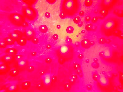 DSCN1103