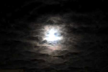 Full Moon Berkeley