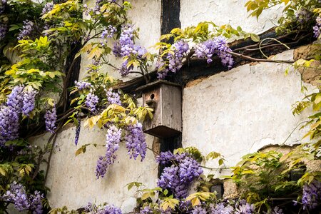 House wall fachwerkhaus