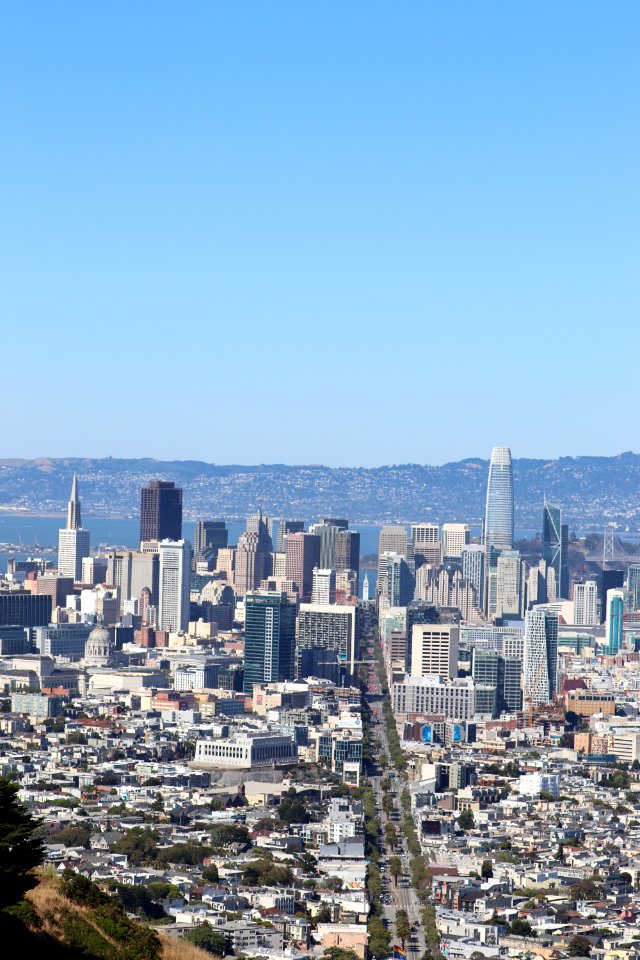 View of San Francisco from Twin Peaks photo