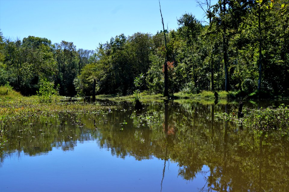 scene Buckhorn Reservoir KG (306)