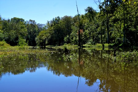 scene Buckhorn Reservoir KG (306)