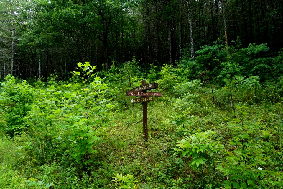 sign Dupont State Rec Forest ncwetlands KG (18)