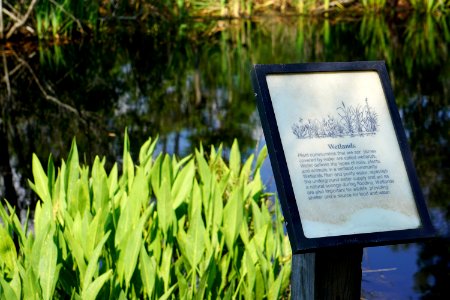 sign Alligator River NWR ncwetlands KG (1) photo