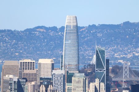 Salesforce Tower and the Bay Bridge from Twin Peaks photo