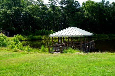scene near visitor center pee dee nwr KG (1)